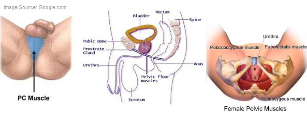 Ways to increase male orgasm