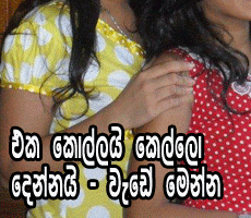 Chardonnay reccomend hodata katata gannawa sinhala kella