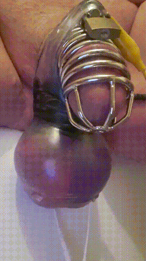 Chastity cage torture