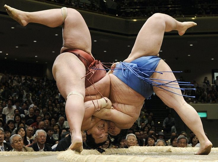 Sexy japanese sumo fight
