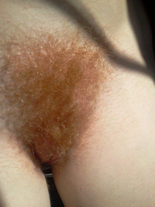 best of Pubes pussys upclose shaving ginger
