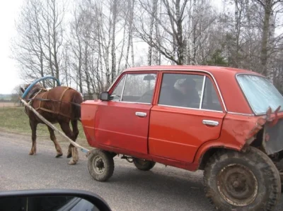 Laska wali konia aucie parkingu osiedlowym