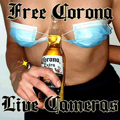 Offense recommend best of corona free with shot