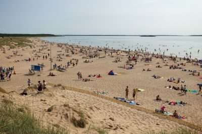 Real life nudists sunbathe nude beaches