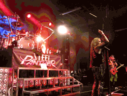 best of Heavy metal rules steel official panther