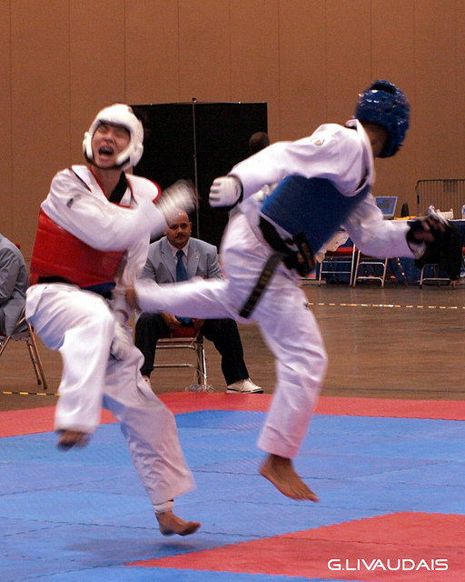 Taekwondo kicks beautiful girl